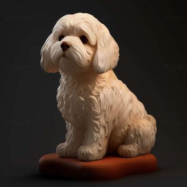 3D model Bolognese dog (STL)